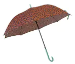 Guarda-chuva